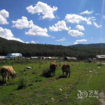 阿勒泰禾木景区归来村舍酒店提供图片