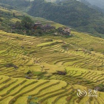 龙胜龙脊重阳酒楼酒店提供图片