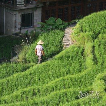 龙胜龙脊重阳酒楼酒店提供图片