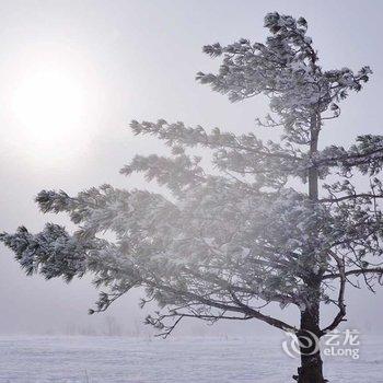 雪乡雪源客栈酒店提供图片