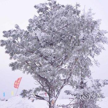 雪乡雪源客栈酒店提供图片