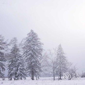 雪乡雪源客栈酒店提供图片