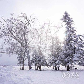 雪乡雪源客栈酒店提供图片