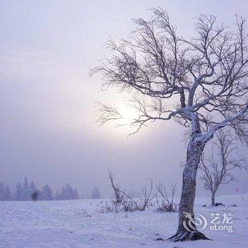 雪乡雪源客栈酒店提供图片