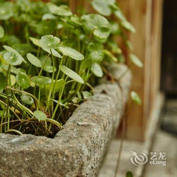 朱家角和处·oldstudio酒店提供图片
