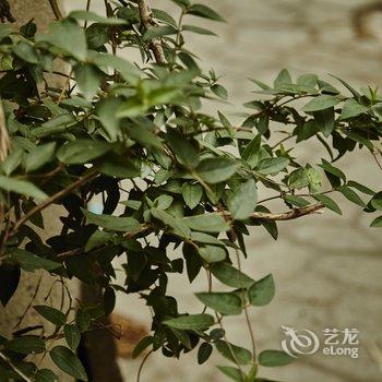 朱家角和处·oldstudio酒店提供图片