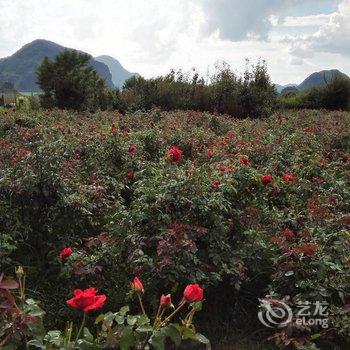 普者黑湘云客栈酒店提供图片