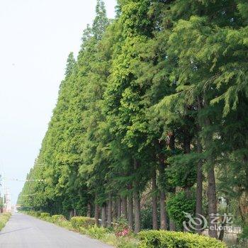 南京高淳区巴厘台湾迎湖度假村酒店提供图片