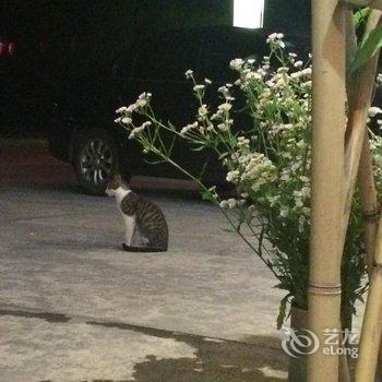 三清山一山一舍客栈酒店提供图片