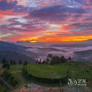 永嘉茗岙山里田边客栈酒店提供图片