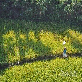 永嘉茗岙山里田边客栈酒店提供图片