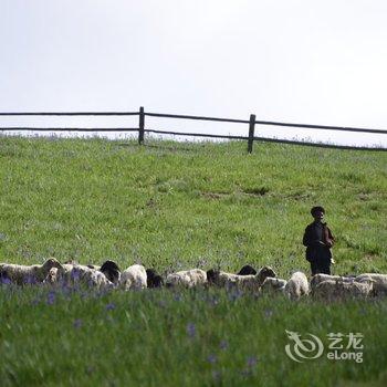 丽江康藤·格拉丹帐篷营地酒店提供图片