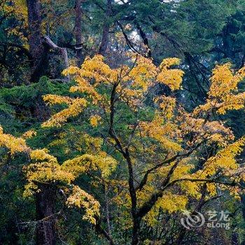 海螺沟冰川温泉度假村（二号营地）酒店提供图片