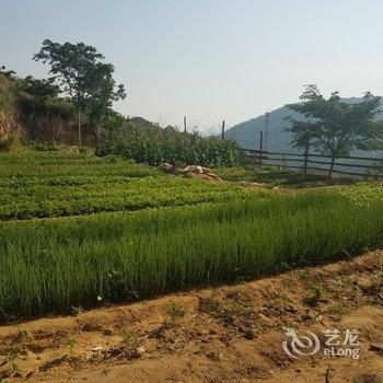 蒙山天蒙山庄酒店酒店提供图片