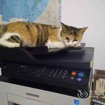 敦煌漠上客风格客栈酒店提供图片