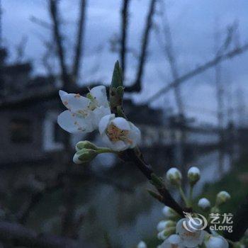 久栖·乌镇信心花舍天台风情酒店酒店提供图片