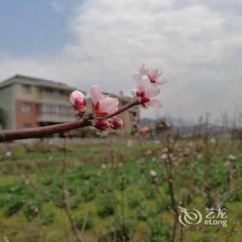 建德万韬度假民宿酒店提供图片