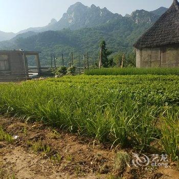 蒙山天蒙山庄酒店酒店提供图片