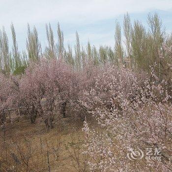 敦煌润月泉客栈酒店提供图片