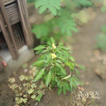 昆山锦溪馥芫居民宿酒店提供图片