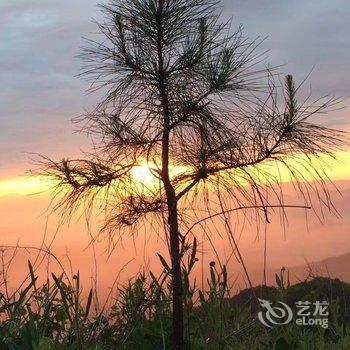 罗田薄刀峰紫雾山庄酒店提供图片