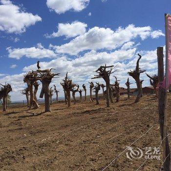 张北草原天路牧马人酒店提供图片