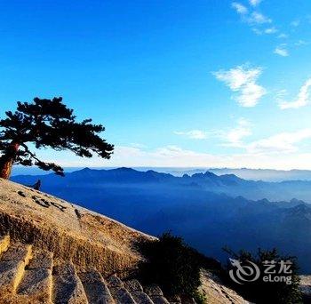 华山欣玥客栈酒店提供图片