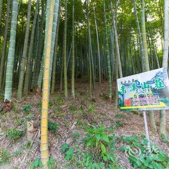 德清莫干山嵩溪山庄酒店提供图片