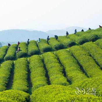 宜兴山湾山农家乐酒店提供图片