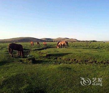 丰宁坝上草原占岭农家院酒店提供图片