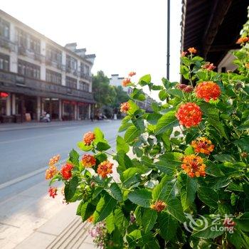 乌镇堇色安年主题客栈酒店提供图片