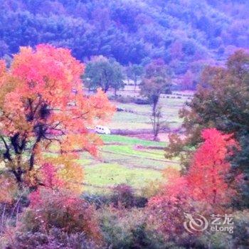 黄山宏村闲居客栈酒店提供图片