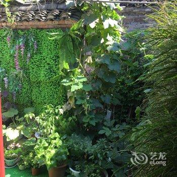 乌镇东栅老街民宿酒店提供图片