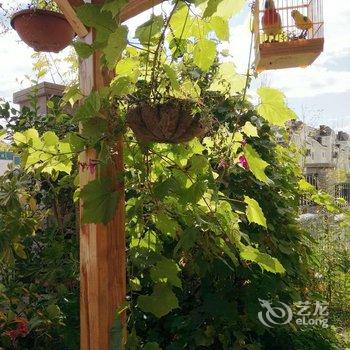 长白山东悦国际青年旅舍酒店提供图片