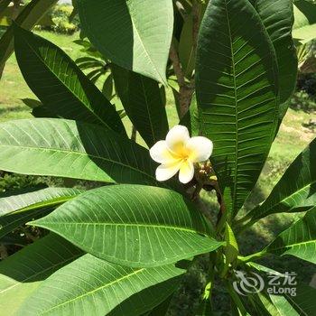 文昌虫鸣海景休闲度假别墅酒店提供图片