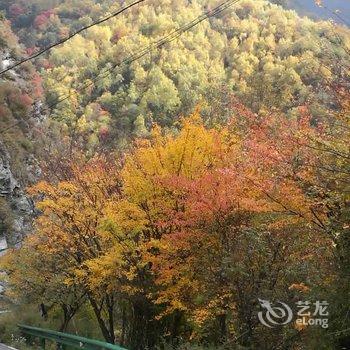 茂县松坪沟大酒店酒店提供图片