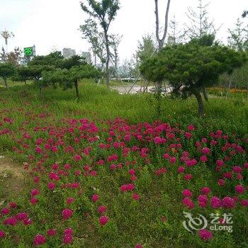 蒙阴百花峪旅游客栈酒店提供图片