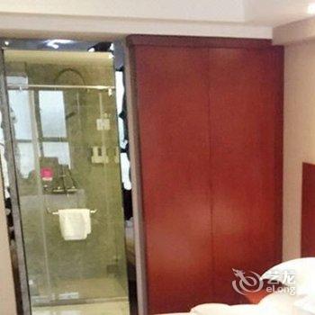 高安维也纳铂金酒店酒店提供图片