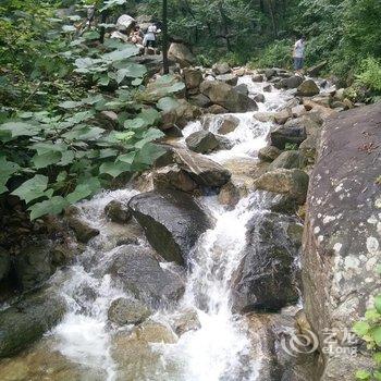 蒙阴百花峪旅游客栈酒店提供图片