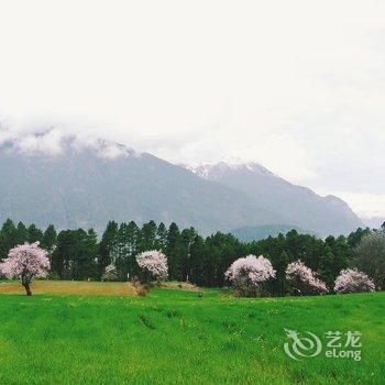 波密如果青旅酒店提供图片