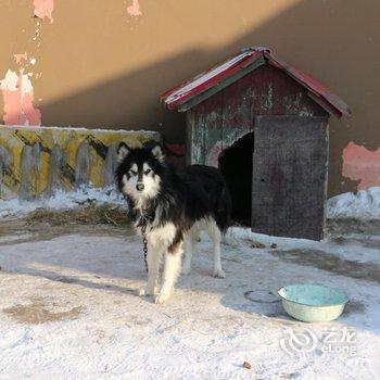 亚布力关东客栈酒店提供图片