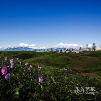 丽江康藤·格拉丹帐篷营地酒店提供图片