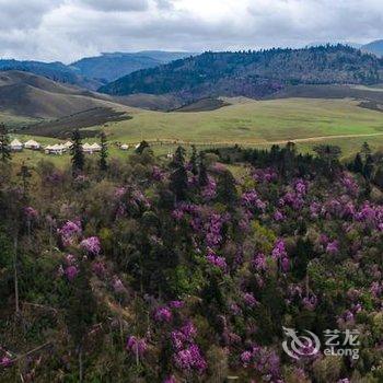 丽江康藤·格拉丹帐篷营地酒店提供图片