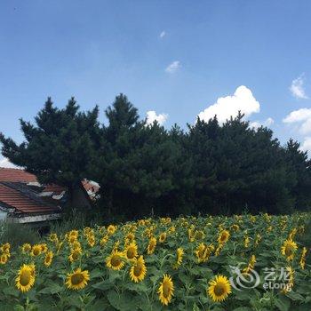 临汾壶口避暑山庄酒店提供图片