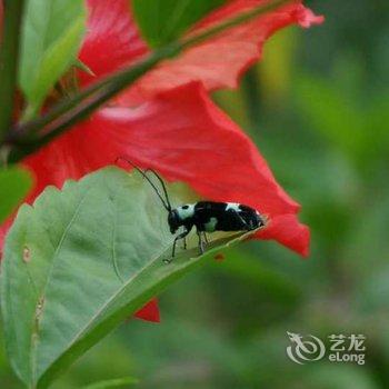 荔波依山碧水农家客栈酒店提供图片