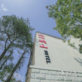 黄山近林听山主题酒店酒店提供图片