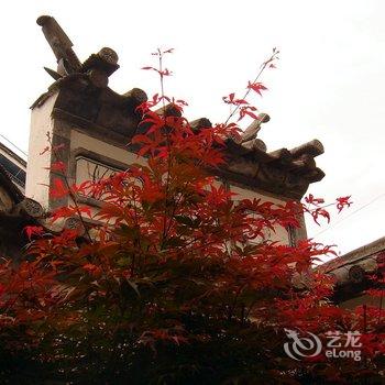 大理古城紫竹寓客栈