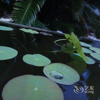 武夷山和翼会所酒店提供图片