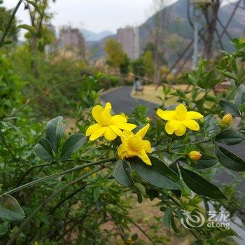 米易宁泽阳光酒店酒店提供图片