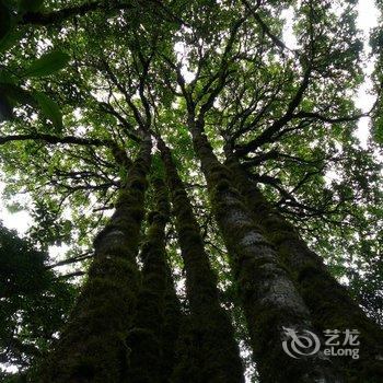 新平磨盘山国家森林公园酒店酒店提供图片